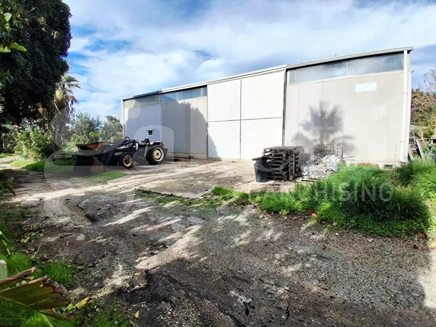 Immagine 10 di Terreno agricolo in vendita  in Contrada gaddimeli, snc a Ragusa