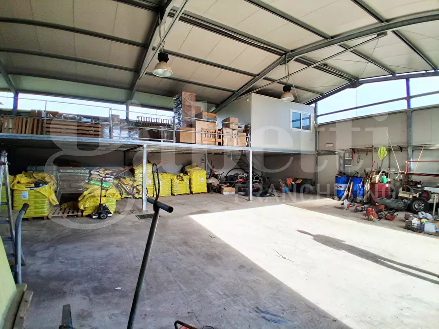 Immagine 14 di Terreno agricolo in vendita  in Contrada gaddimeli, snc a Ragusa