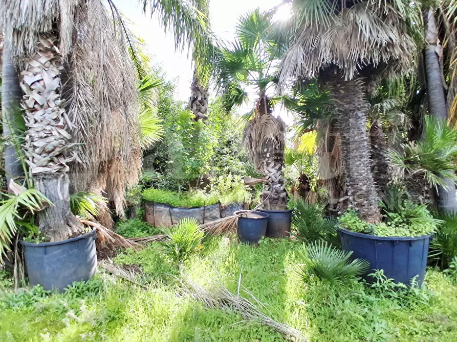 Immagine 44 di Terreno agricolo in vendita  in Contrada gaddimeli, snc a Ragusa