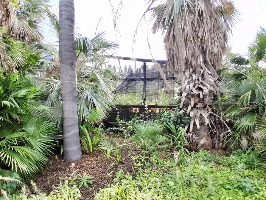 Immagine 47 di Terreno agricolo in vendita  in Contrada gaddimeli, snc a Ragusa