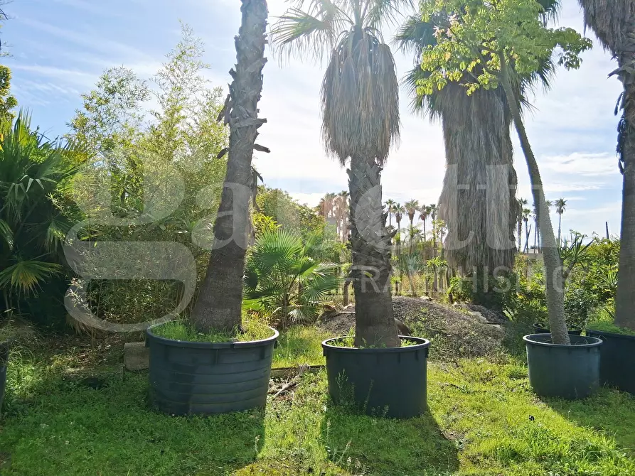 Immagine 39 di Terreno agricolo in vendita  in Contrada gaddimeli, snc a Ragusa