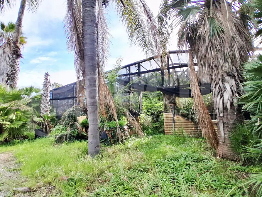 Immagine 48 di Terreno agricolo in vendita  in Contrada gaddimeli, snc a Ragusa