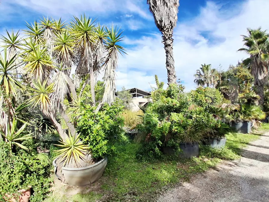 Immagine 36 di Terreno agricolo in vendita  in Contrada gaddimeli, snc a Ragusa