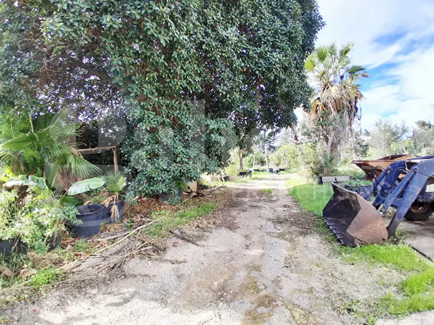 Immagine 11 di Terreno agricolo in vendita  in Contrada gaddimeli, snc a Ragusa