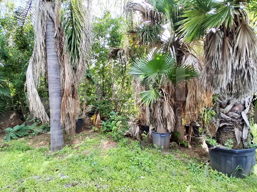 Immagine 45 di Terreno agricolo in vendita  in Contrada gaddimeli, snc a Ragusa