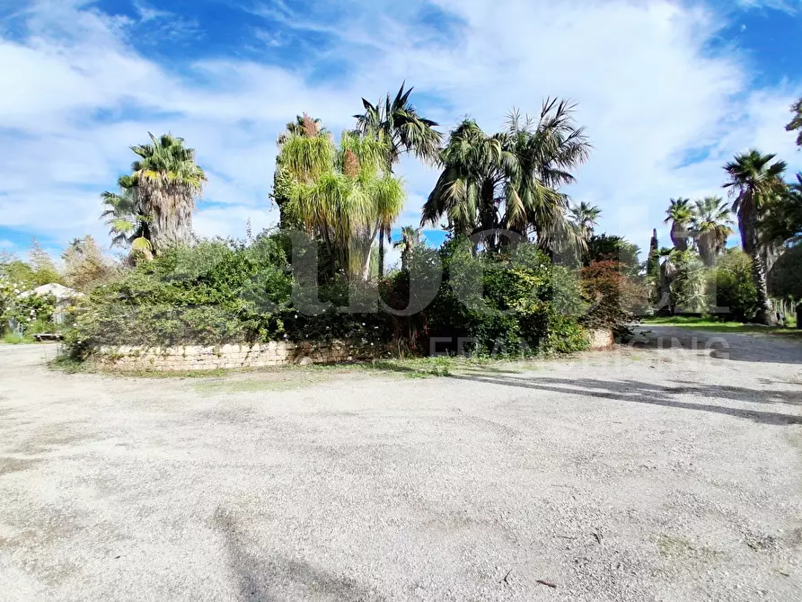 Immagine 3 di Terreno agricolo in vendita  in Contrada gaddimeli, snc a Ragusa