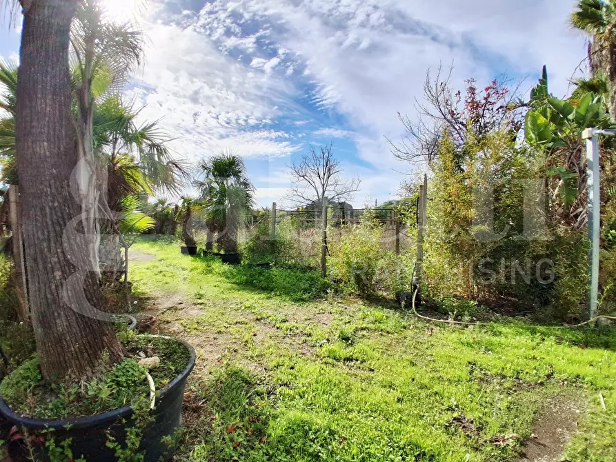 Immagine 8 di Terreno agricolo in vendita  in Contrada gaddimeli, snc a Ragusa