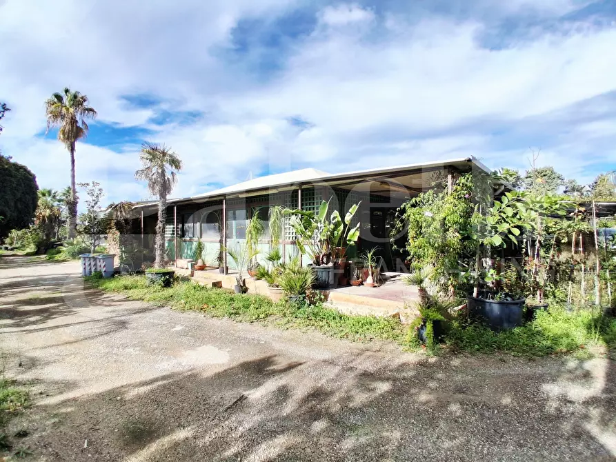 Immagine 5 di Terreno agricolo in vendita  in Contrada gaddimeli, snc a Ragusa