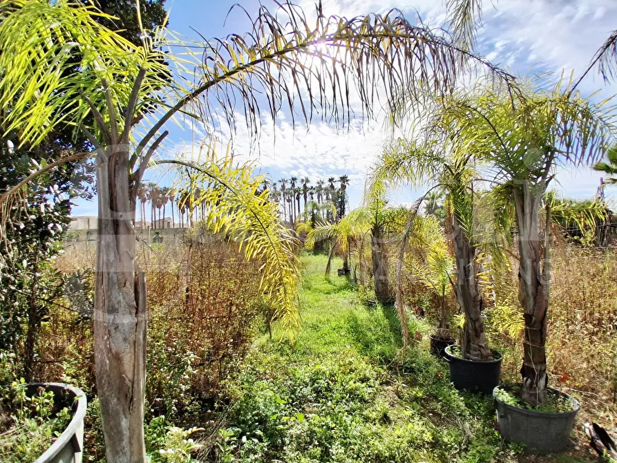 Immagine 6 di Terreno agricolo in vendita  in Contrada gaddimeli, snc a Ragusa