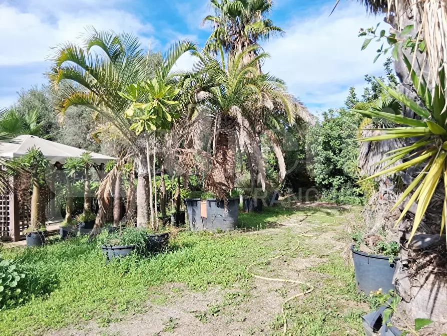 Immagine 41 di Terreno agricolo in vendita  in Contrada gaddimeli, snc a Ragusa