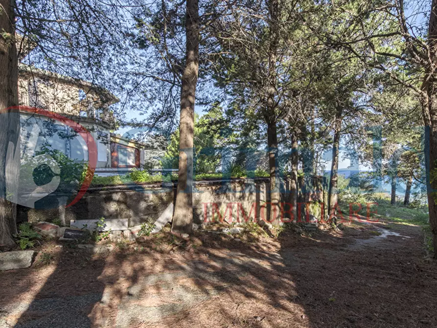 Immagine 14 di Villa in vendita  in Contrada Piano Rocca a Messina