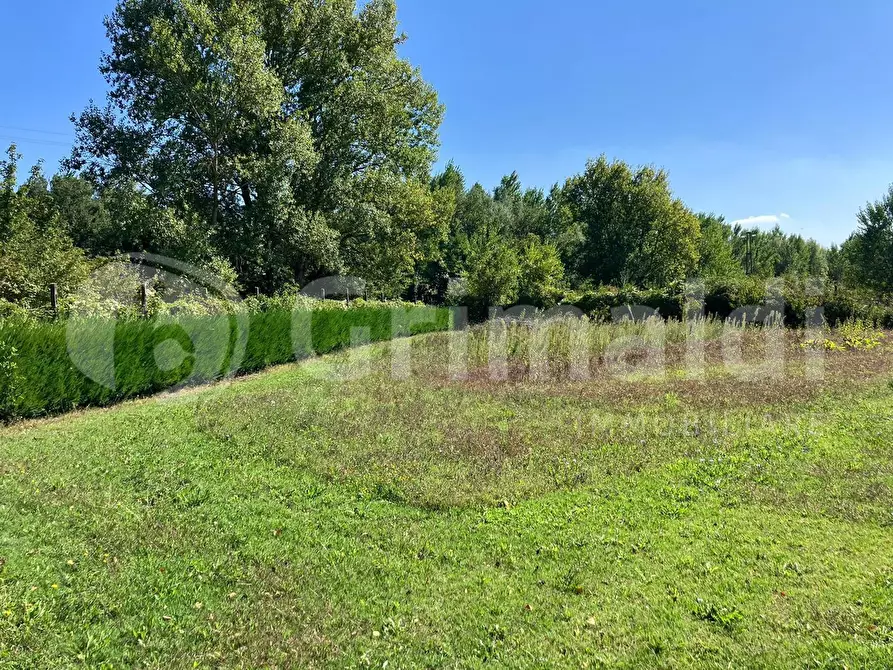 Immagine 5 di Terreno agricolo in vendita  in Via dei prati fioriti a Magione