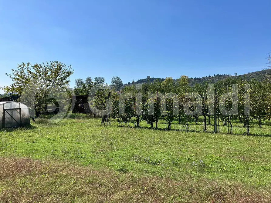 Immagine 3 di Terreno agricolo in vendita  in Via dei prati fioriti a Magione