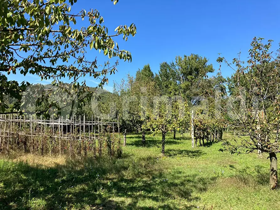 Immagine 8 di Terreno agricolo in vendita  in Via dei prati fioriti a Magione