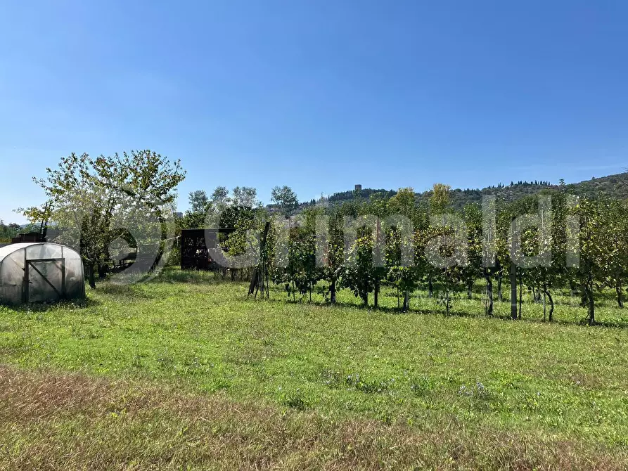Immagine 4 di Terreno agricolo in vendita  in Via dei prati fioriti a Magione