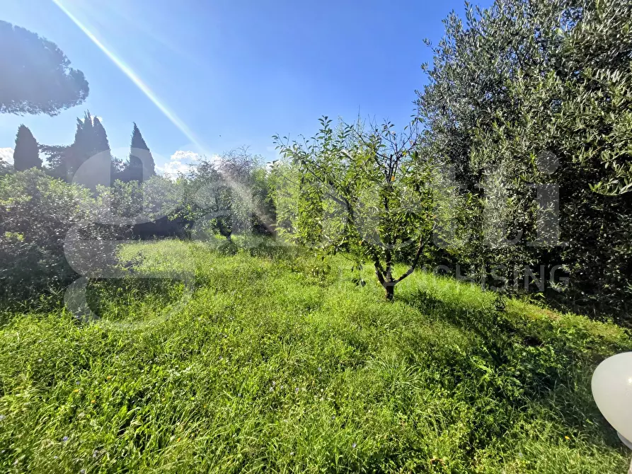 Immagine 7 di Villa in vendita  in Contrada Colle Rampo a Paliano