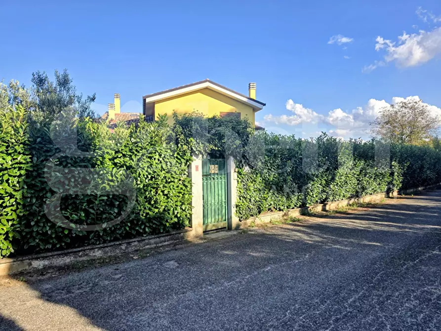 Immagine 13 di Villa in vendita  in Contrada Colle Rampo a Paliano