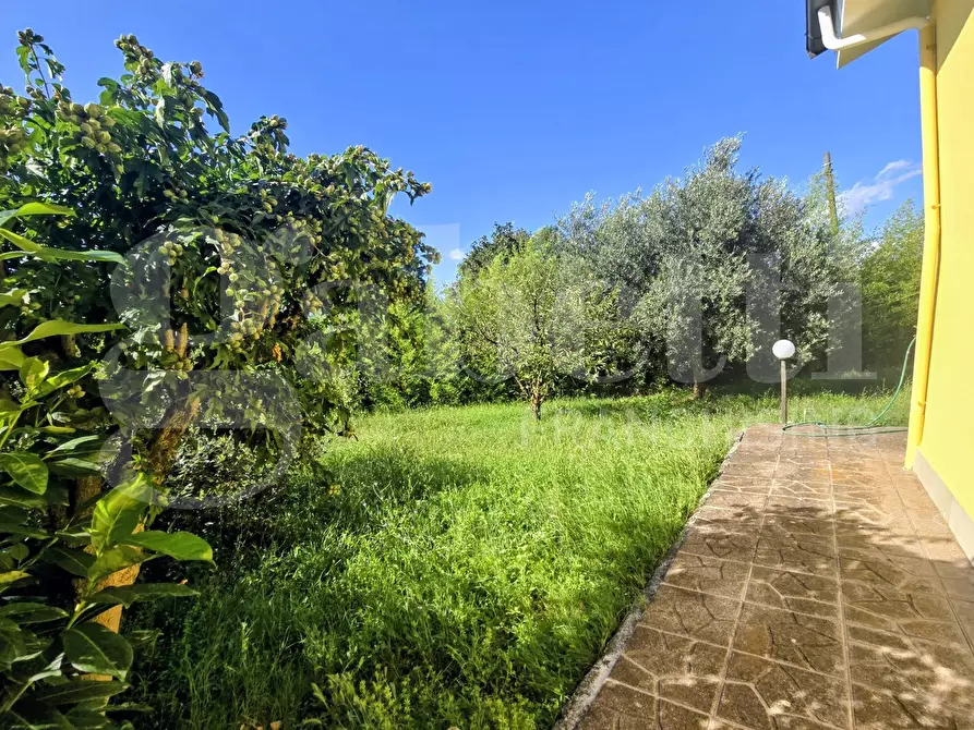 Immagine 6 di Villa in vendita  in Contrada Colle Rampo a Paliano