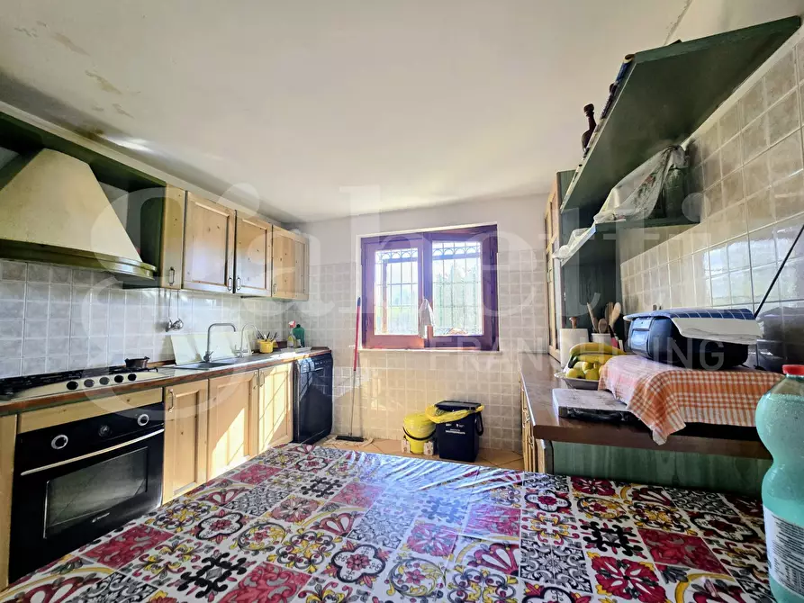 Immagine 23 di Villa in vendita  in Contrada Colle Rampo a Paliano