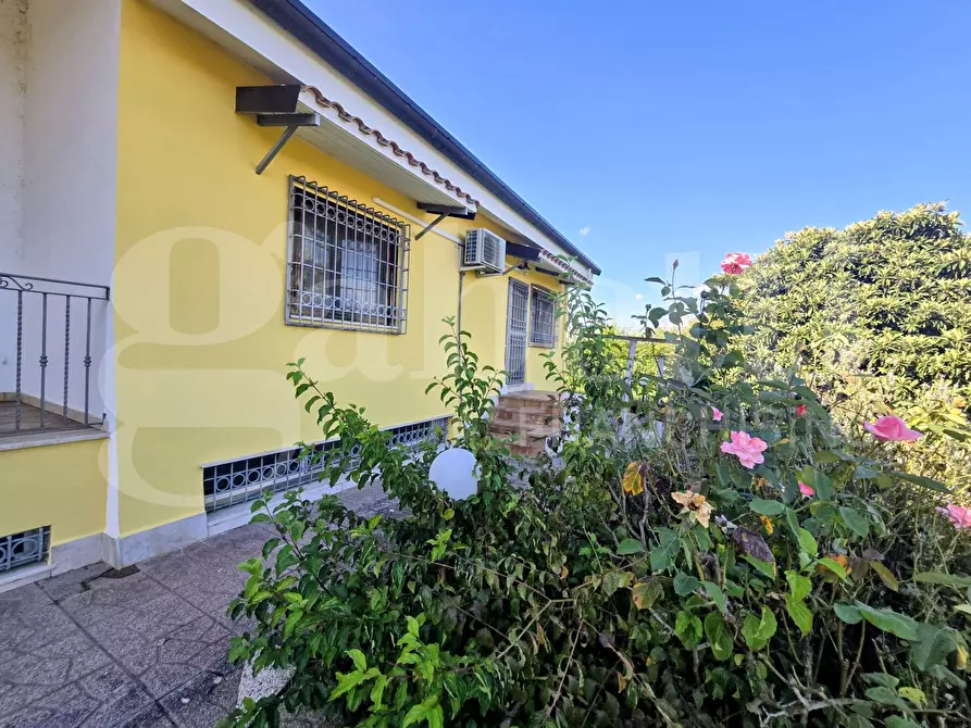Immagine 12 di Villa in vendita  in Contrada Colle Rampo a Paliano