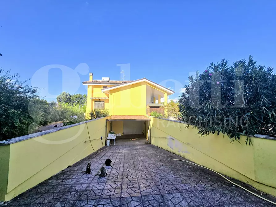 Immagine 3 di Villa in vendita  in Contrada Colle Rampo a Paliano