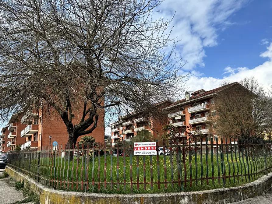 Immagine 14 di Appartamento in vendita  in Via dei fiori, 1 a Alatri