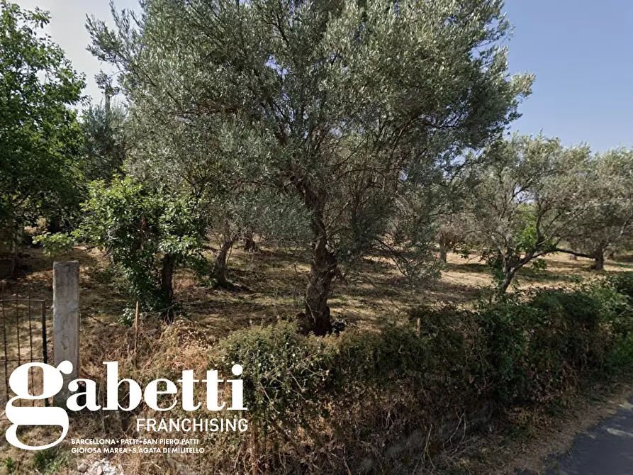 Immagine 1 di Terreno residenziale in vendita  in Via SAN PIETRO, SNC a Acquedolci