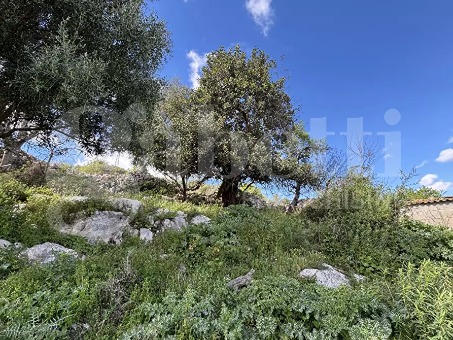 Immagine 25 di Rustico / casale in vendita  in Contrada Marchesella, sn a Ragusa