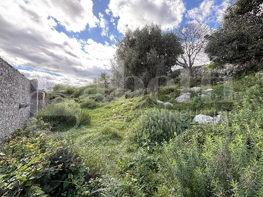 Immagine 22 di Rustico / casale in vendita  in Contrada Marchesella, sn a Ragusa