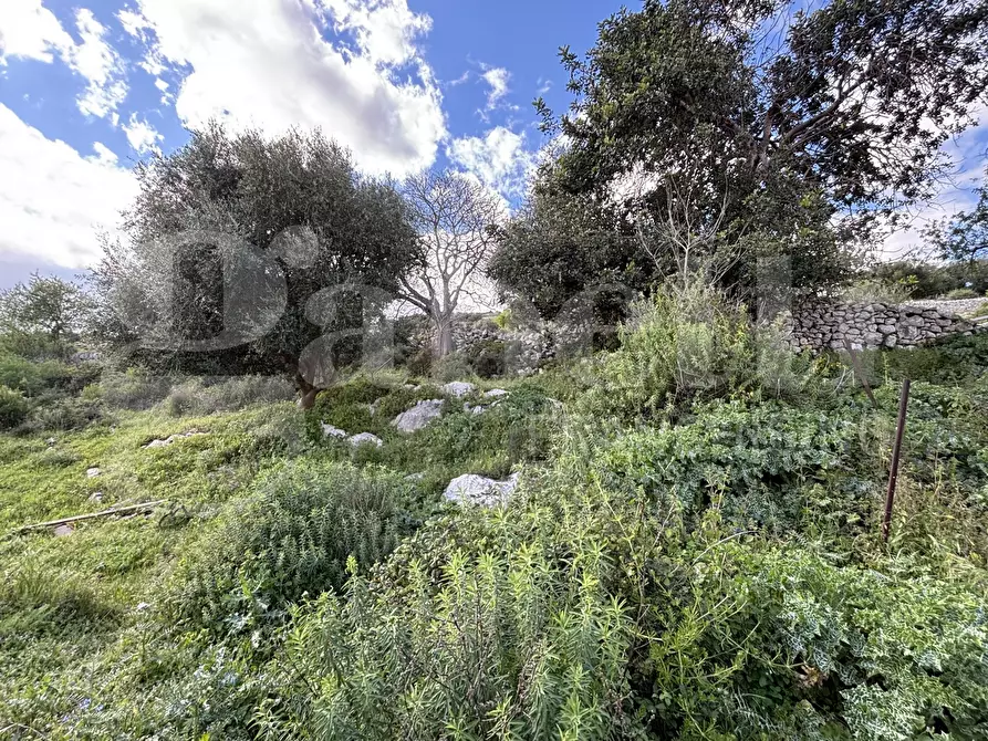 Immagine 20 di Rustico / casale in vendita  in Contrada Marchesella, sn a Ragusa