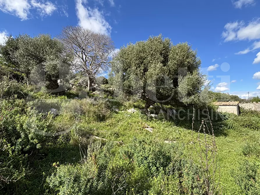 Immagine 18 di Rustico / casale in vendita  in Contrada Marchesella, sn a Ragusa