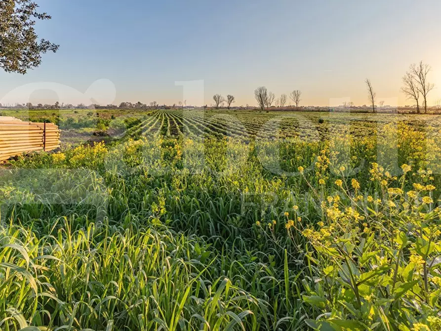 Immagine 9 di Casa bifamiliare in vendita  in Strada del Truglio, 20 a Latina