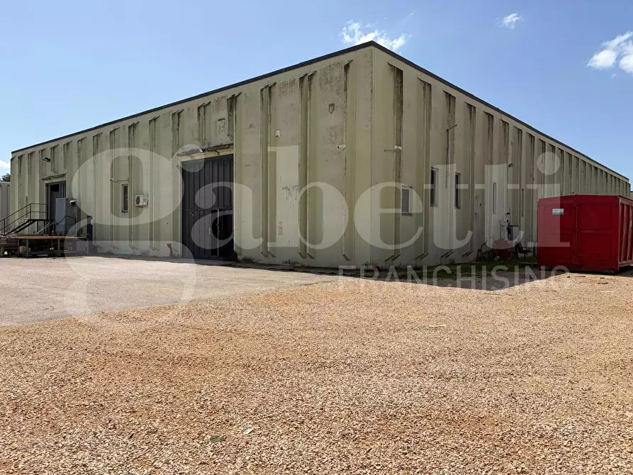 Immagine 1 di Capannone industriale in affitto  in Strada Torre Nuova, 3 a Latina