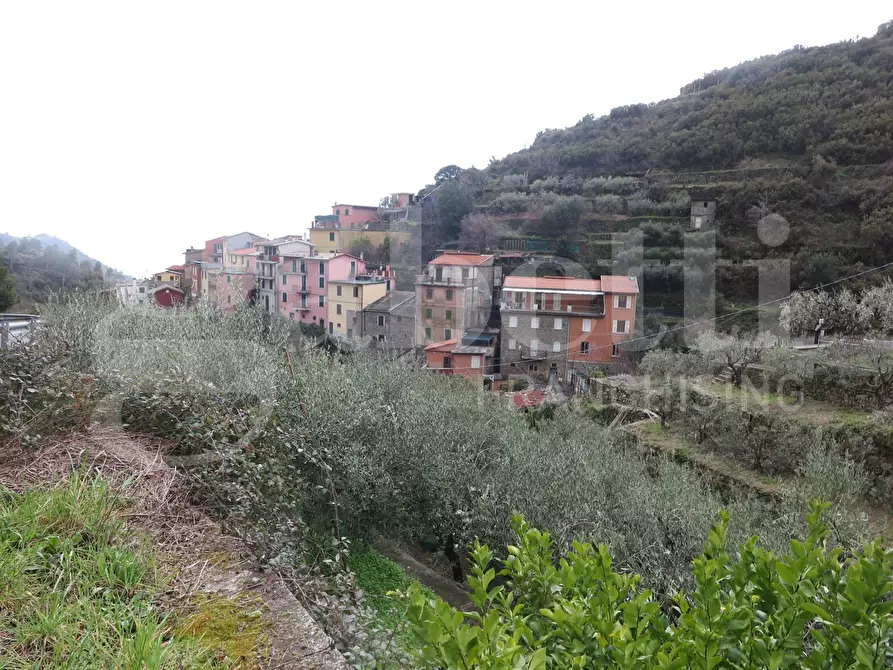 Immagine 1 di Appartamento in vendita  in Strada provinciale, 5 a Riomaggiore