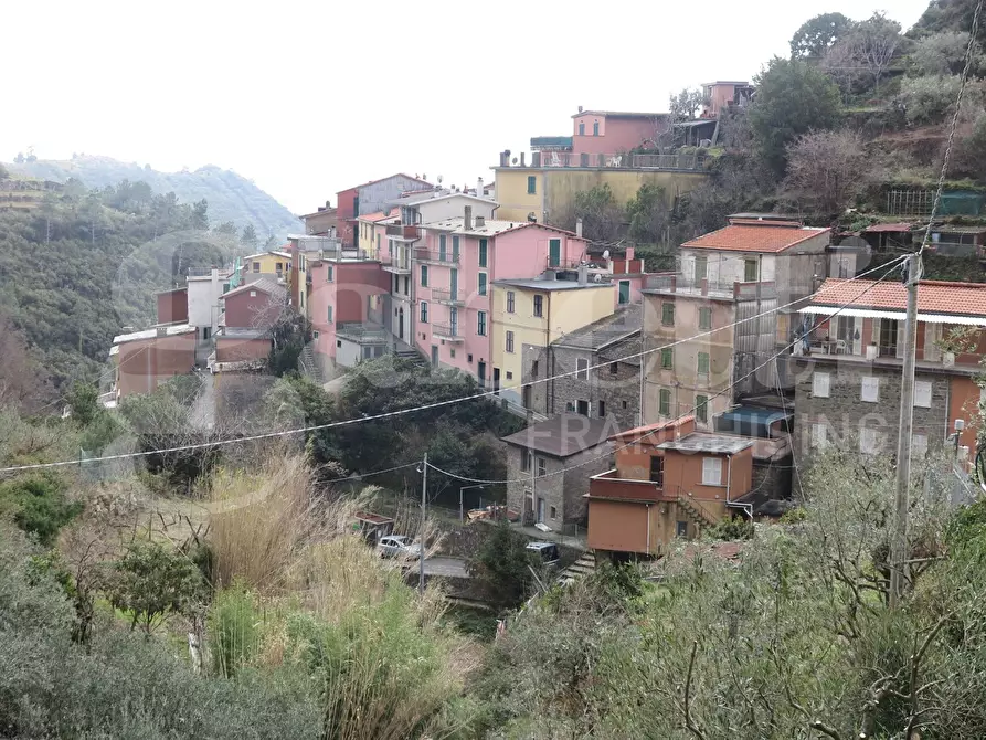 Immagine 2 di Appartamento in vendita  in Strada provinciale, 5 a Riomaggiore