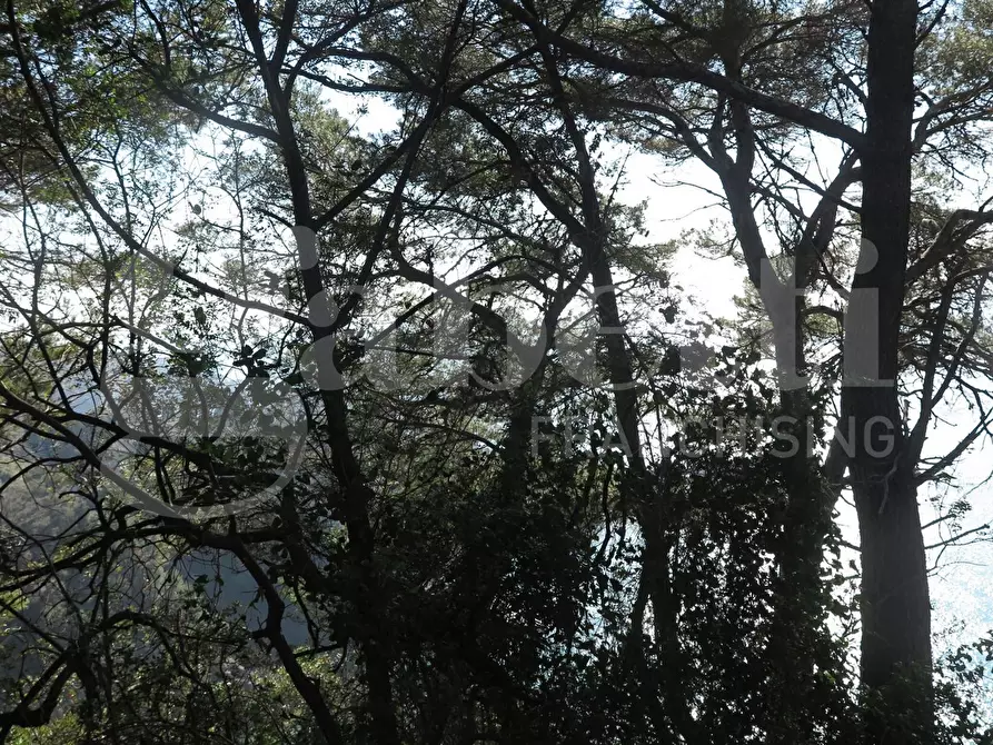 Immagine 16 di Rustico / casale in vendita  in LocalitÃ  zanego, 1 a Lerici