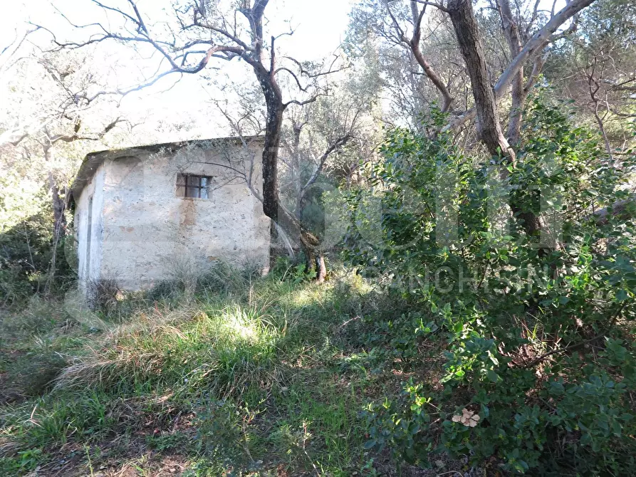 Immagine 2 di Rustico / casale in vendita  in LocalitÃ  zanego, 1 a Lerici
