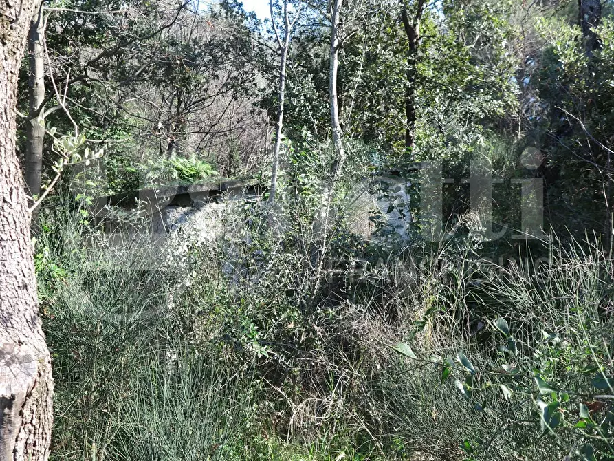 Immagine 12 di Rustico / casale in vendita  in LocalitÃ  zanego, 1 a Lerici