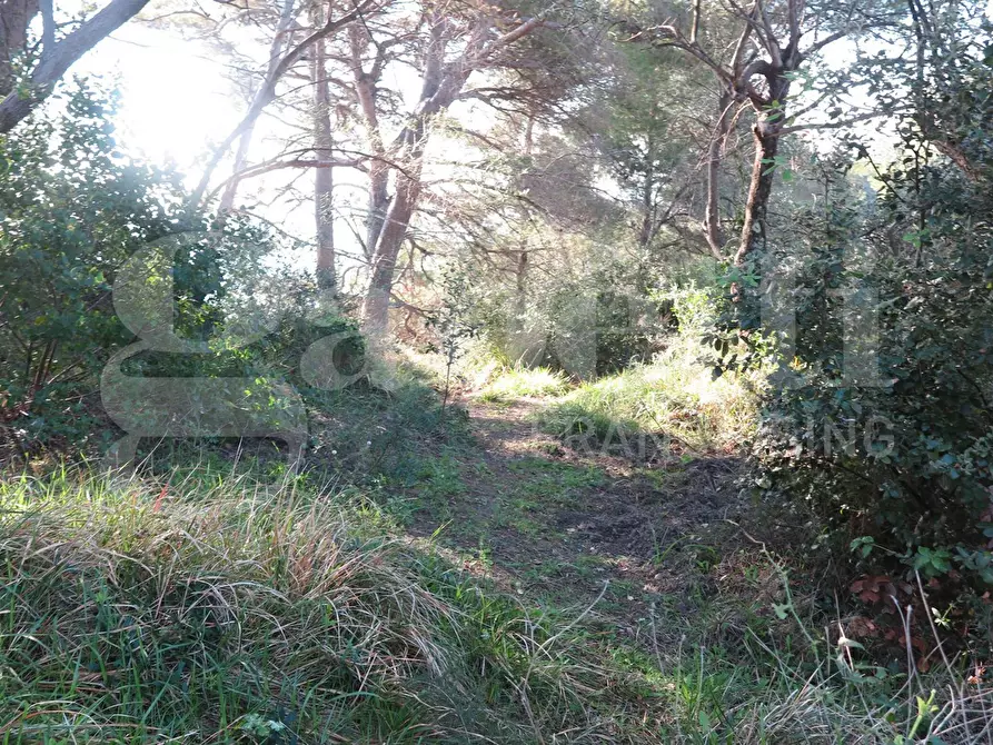 Immagine 14 di Rustico / casale in vendita  in LocalitÃ  zanego, 1 a Lerici