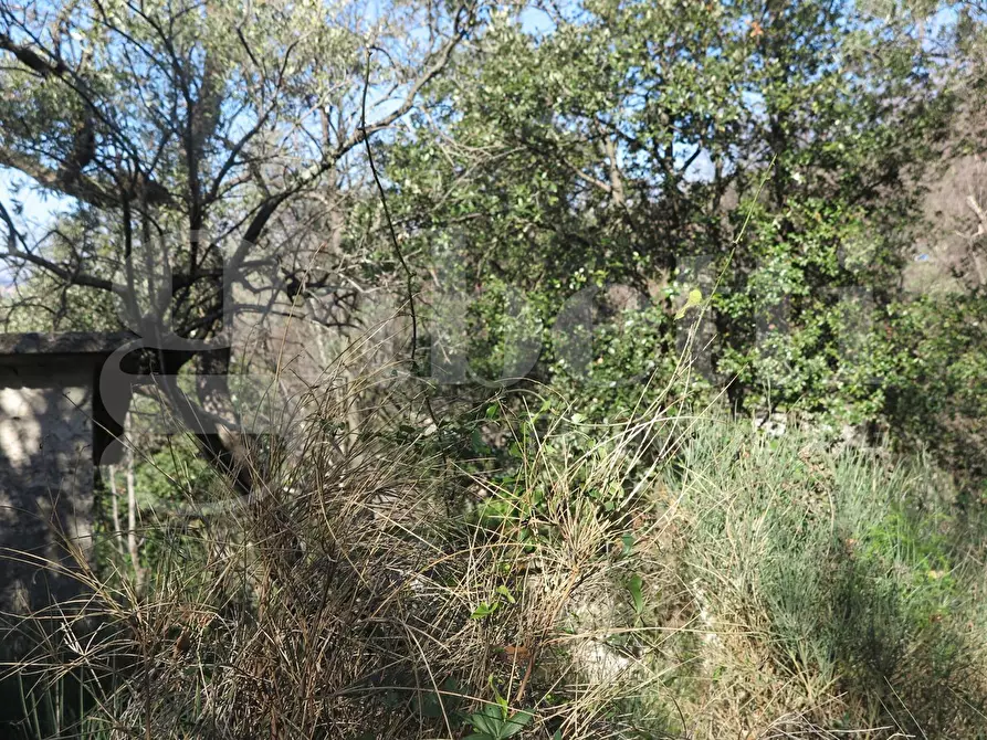 Immagine 18 di Rustico / casale in vendita  in LocalitÃ  zanego, 1 a Lerici