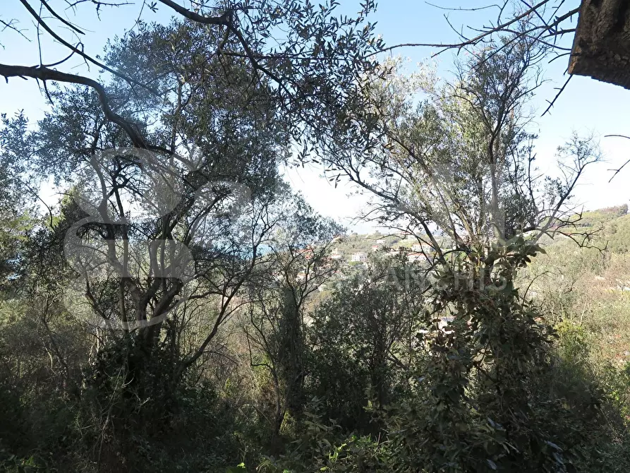 Immagine 3 di Rustico / casale in vendita  in LocalitÃ  zanego, 1 a Lerici