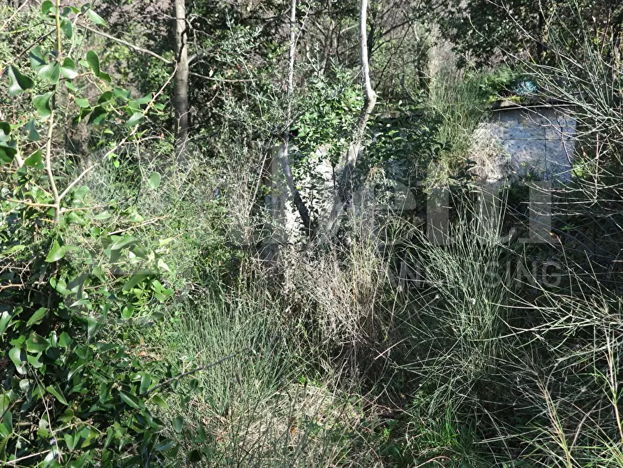 Immagine 9 di Rustico / casale in vendita  in LocalitÃ  zanego, 1 a Lerici