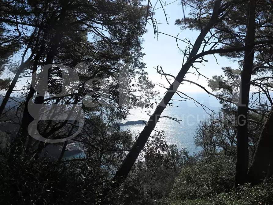 Immagine 1 di Rustico / casale in vendita  in LocalitÃ  zanego, 1 a Lerici