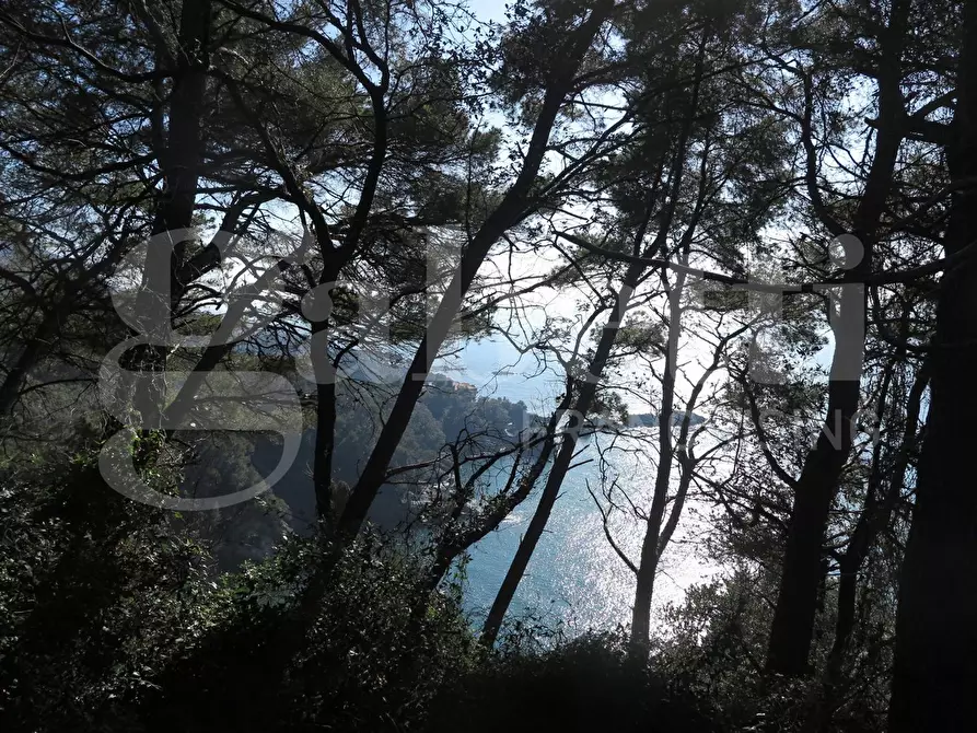 Immagine 5 di Rustico / casale in vendita  in LocalitÃ  zanego, 1 a Lerici