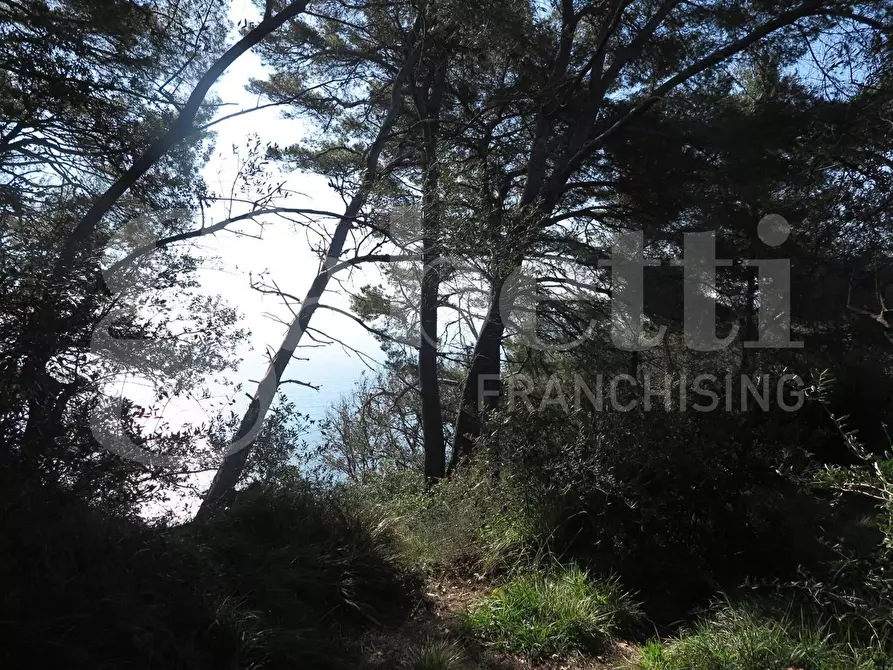 Immagine 4 di Rustico / casale in vendita  in LocalitÃ  zanego, 1 a Lerici