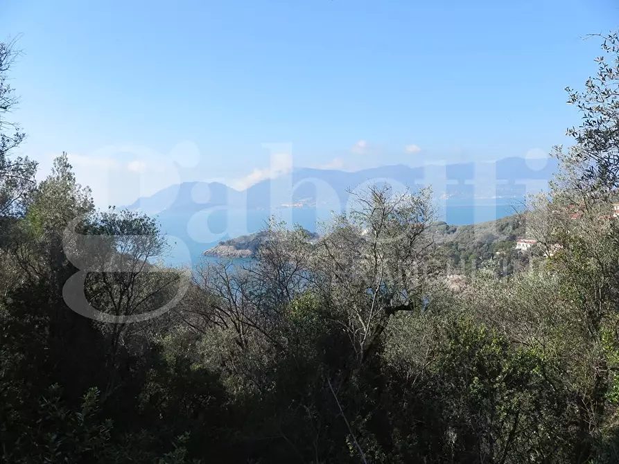 Immagine 11 di Rustico / casale in vendita  in LocalitÃ  zanego, 1 a Lerici