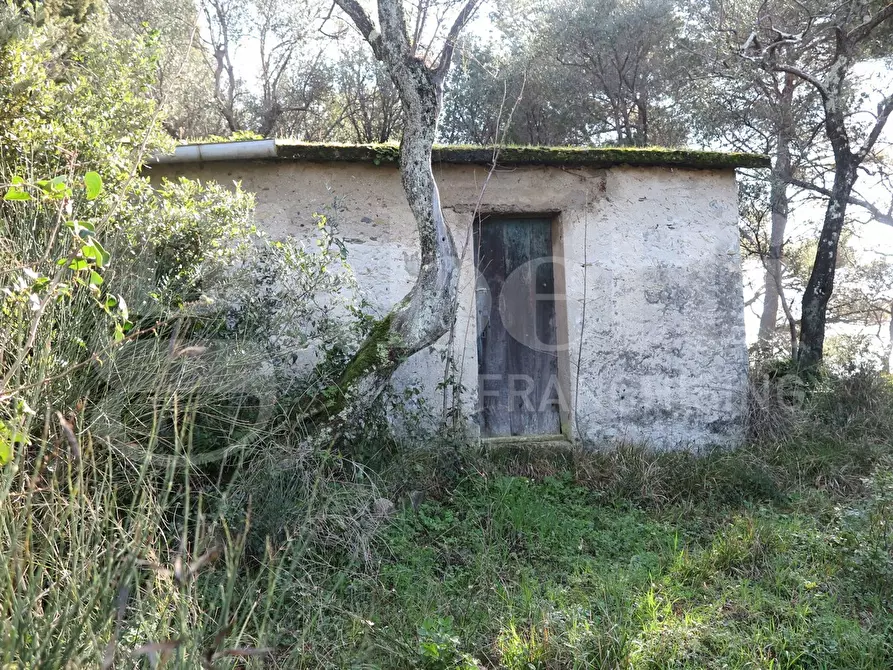 Immagine 13 di Rustico / casale in vendita  in LocalitÃ  zanego, 1 a Lerici