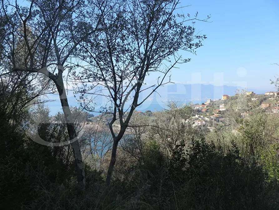 Immagine 8 di Rustico / casale in vendita  in LocalitÃ  zanego, 1 a Lerici