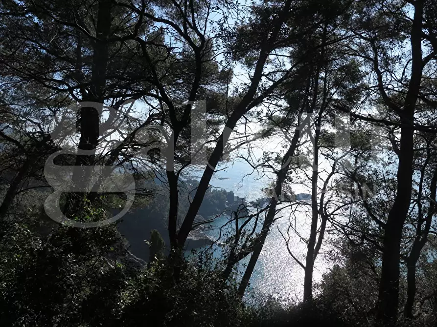 Immagine 6 di Rustico / casale in vendita  in LocalitÃ  zanego, 1 a Lerici