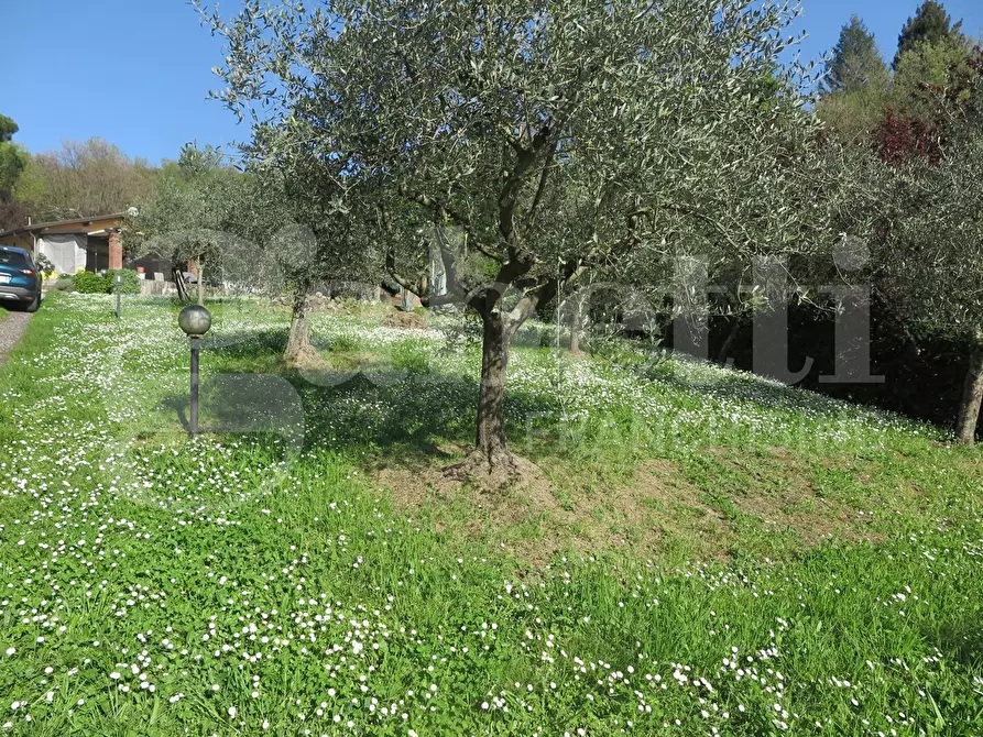 Immagine 2 di Villa in vendita  in Via paterno, 3 a Sarzana